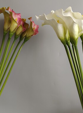 仿真花手感网纹大号马蹄莲海芋 现代家居样板间装饰婚庆拍照直播