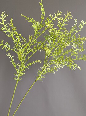 仿真叶材植物单枝金须叶银叶菊 北欧家居样板间婚庆圣诞插花配件