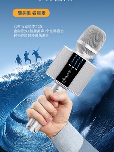 新型放屁昆虫麦克风音频集成蓝牙无线专业手机唱卡拉ok神器声卡麦