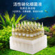 包邮 科迪硝化细菌鱼缸稳定净水剂水质稳定剂淡海水微量元 素硝化菌