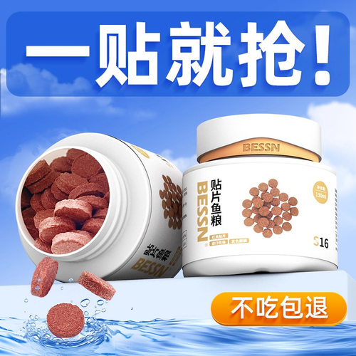 BESSN小型鱼贴片鱼食粮孔雀鱼饲料热带鱼金鱼灯鱼粮观赏红虫发色