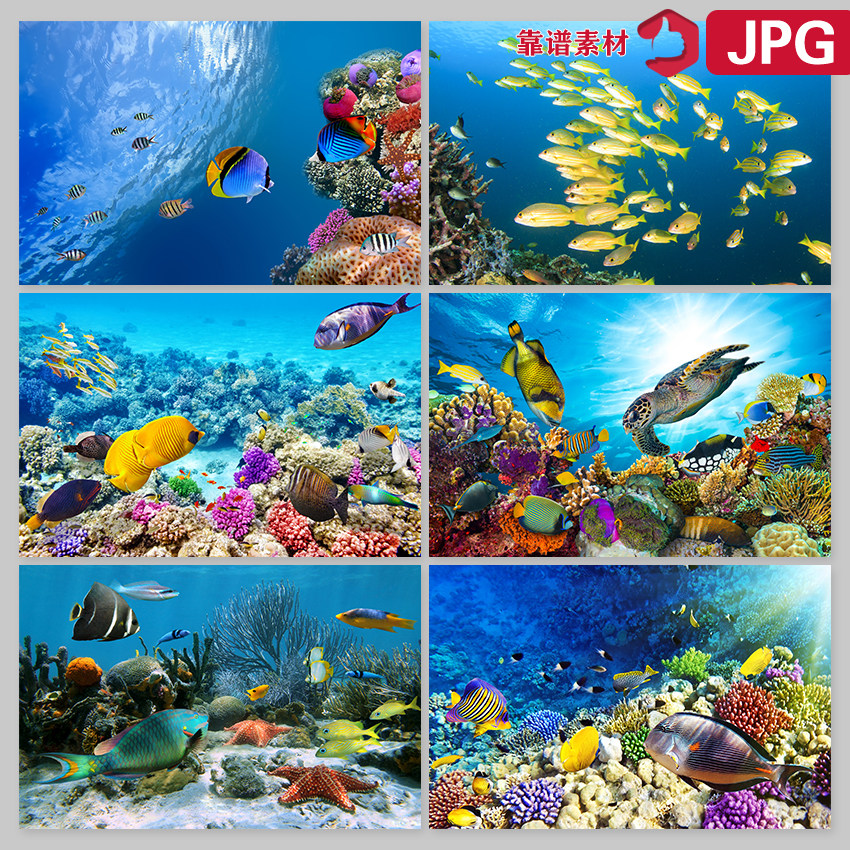 海底世界海洋生物深海鱼群海草高清装饰画jpg设计素材