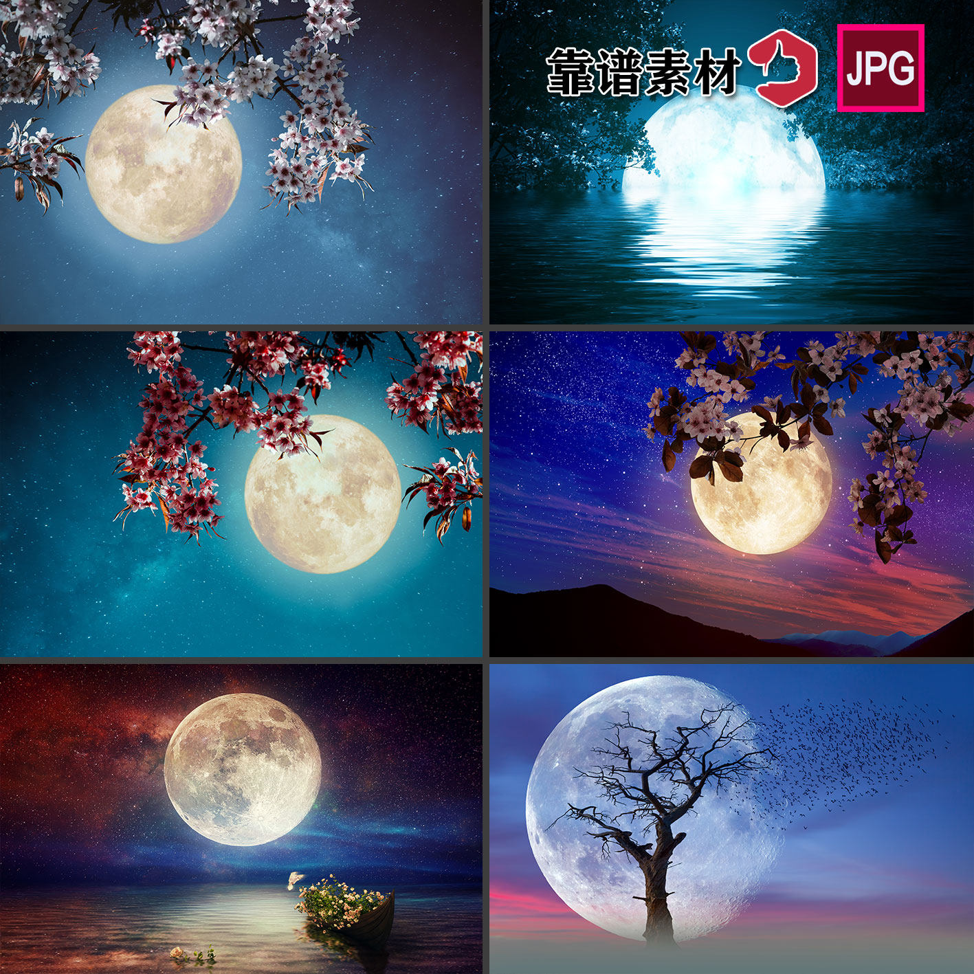 花枝鲜花月亮夜晚的月光剪影中秋风景背景墙壁纸背景图片设计素材