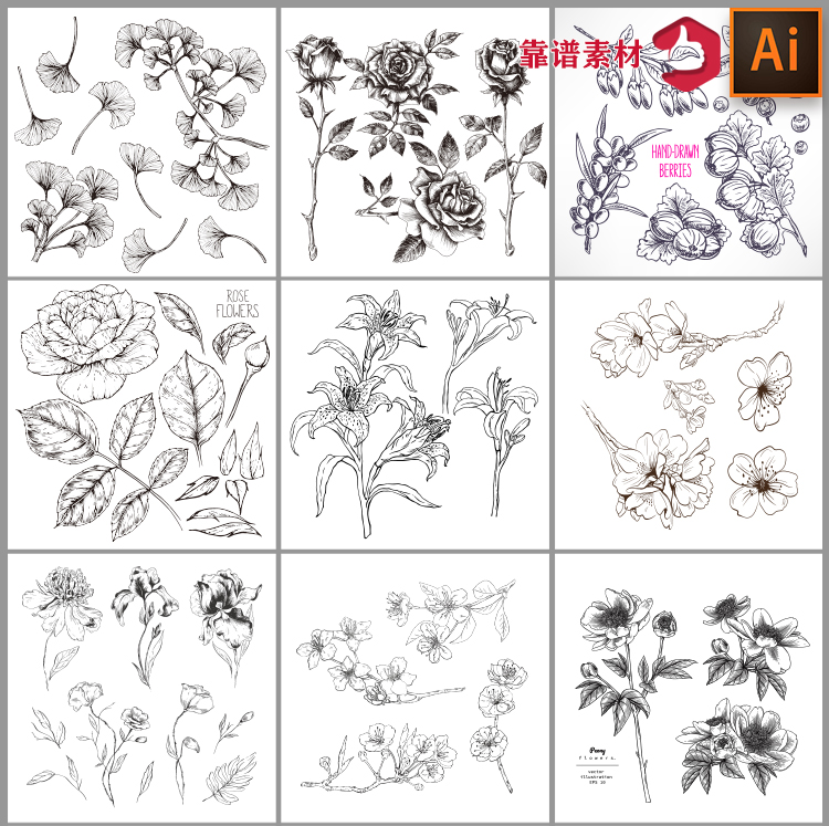 黑白简约线条白描素描矢量植物香料花朵鲜花花枝设计素材