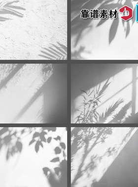 夏季棕榈树叶叶子光影感阴影投影灰色水泥墙背景图片设计PSD素材