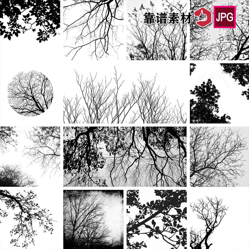 有意境漂亮的黑白剪影树枝树杈高清背景图片设计素材