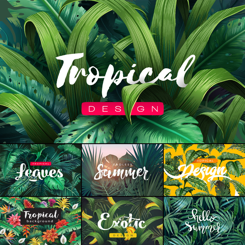 热带夏季植物花鸟背景墙纸地毯封面海报无缝印花图案eps矢量素材