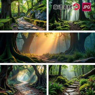 超高清热带雨林森林小径丁达尔光效背景图苔藓树林风景设计素材
