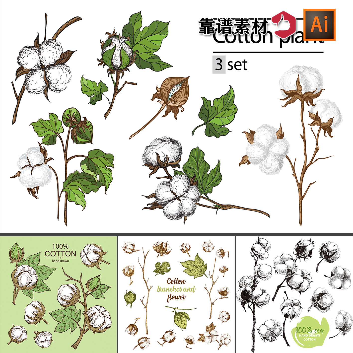 棉花手绘插画插图ai矢量设计素材