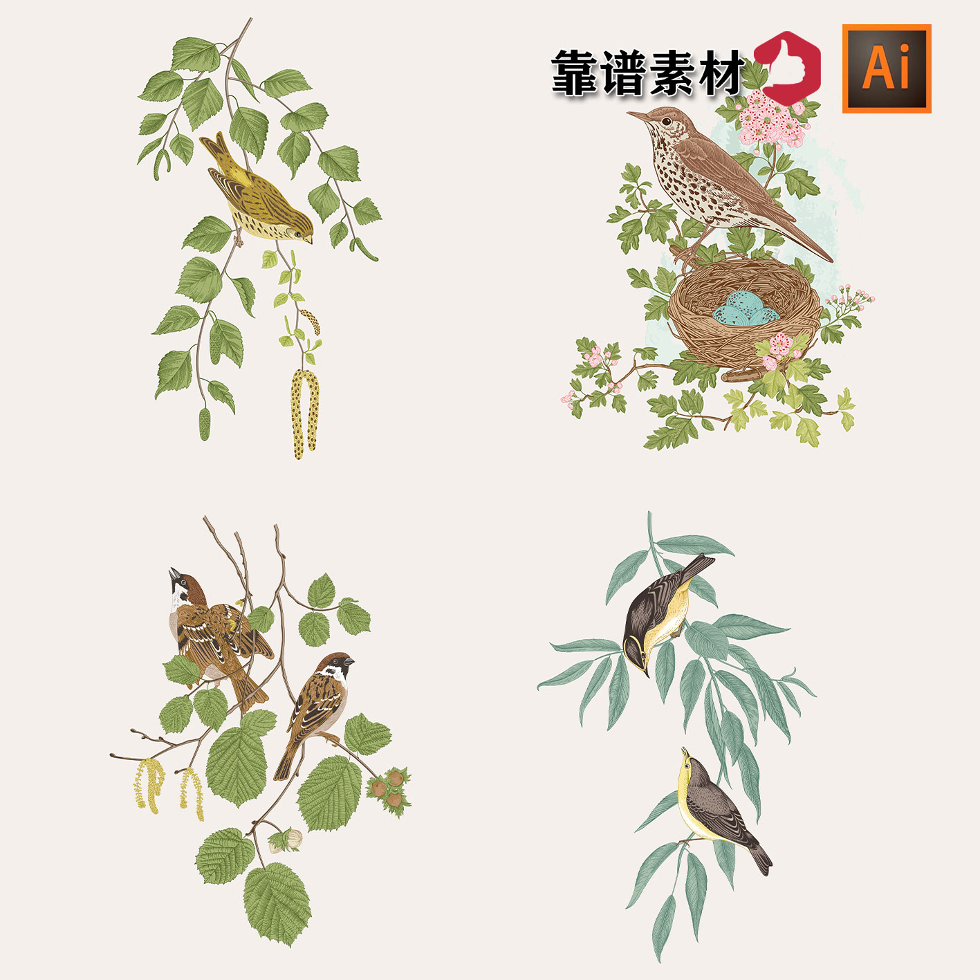 美丽花园高端精美矢量工笔素描花鸟植物装饰画插画AI矢量设计素材图片