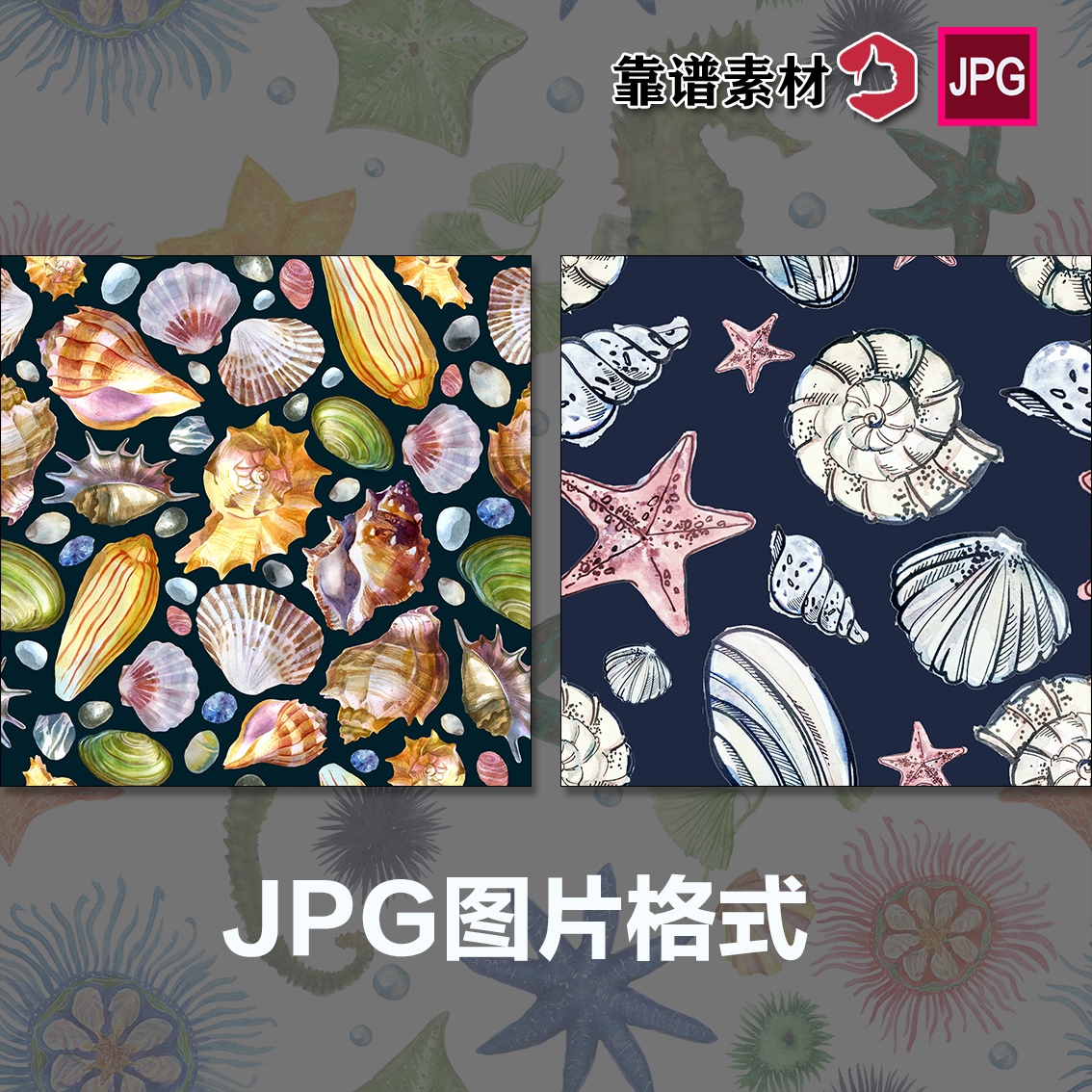 手绘水彩海马海螺海星水草海洋海鲜纺织印花图案三图片设计素材
