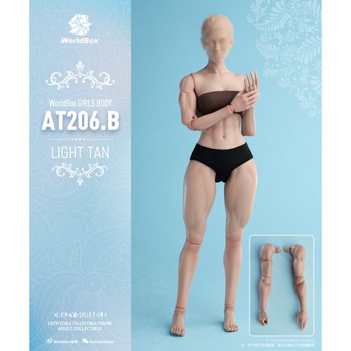 1/6女素体肌肉版AT2061/6