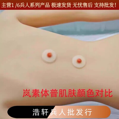 1/6女兵人胸贴胸部替换件适合TBL岚女其它素体自D12寸女人偶配件