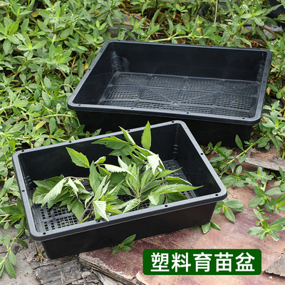 黑色塑料长方形豆芽育苗加厚平盘
