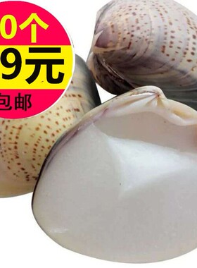 蛤蜊油防干裂贝壳歪子梦娜牌手牌正品哈喇护手霜上海哈利防裂老式