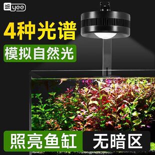 yee水草鱼缸专用灯全光谱鱼缸灯筒灯溪流缸爆藻灯小照射灯气氛灯