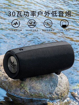 ROYQUEEN/朗琴 M580蓝牙音箱双喇叭大音量户外便携式小型3d环绕家