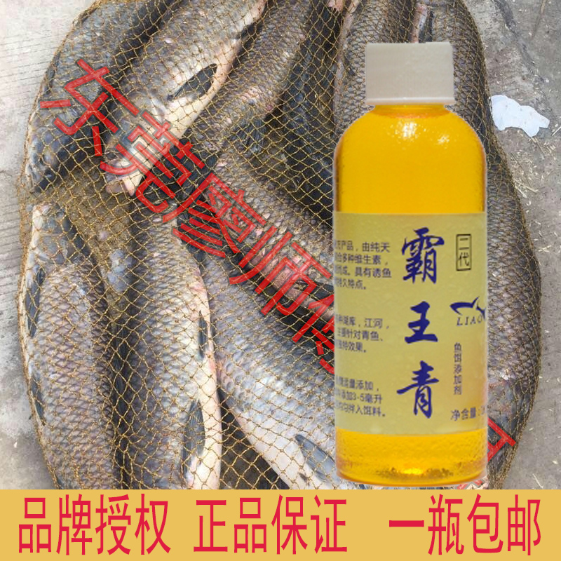 廖大师霸王青二代青鱼小药