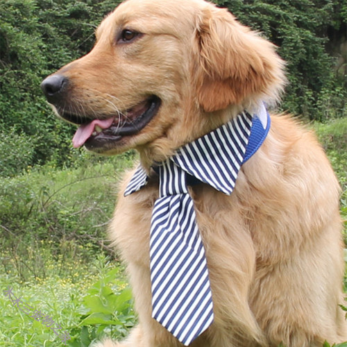 宠物领带领巾狗领带中大型犬金毛拉布拉多狗狗条纹领带领结狗饰品 - 封面