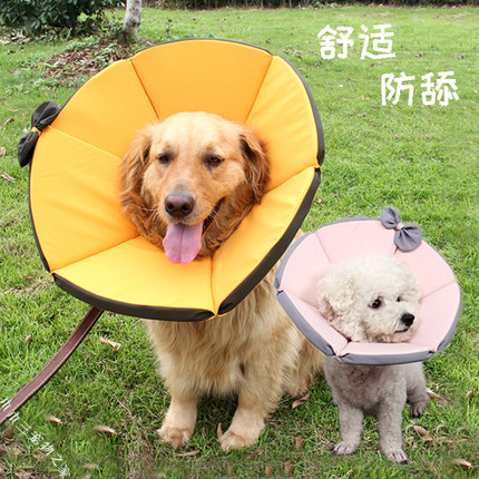 伊丽莎白圈狗狗猫咪术后绝育头套泰迪金毛小大型犬猫狗防舔项圈软