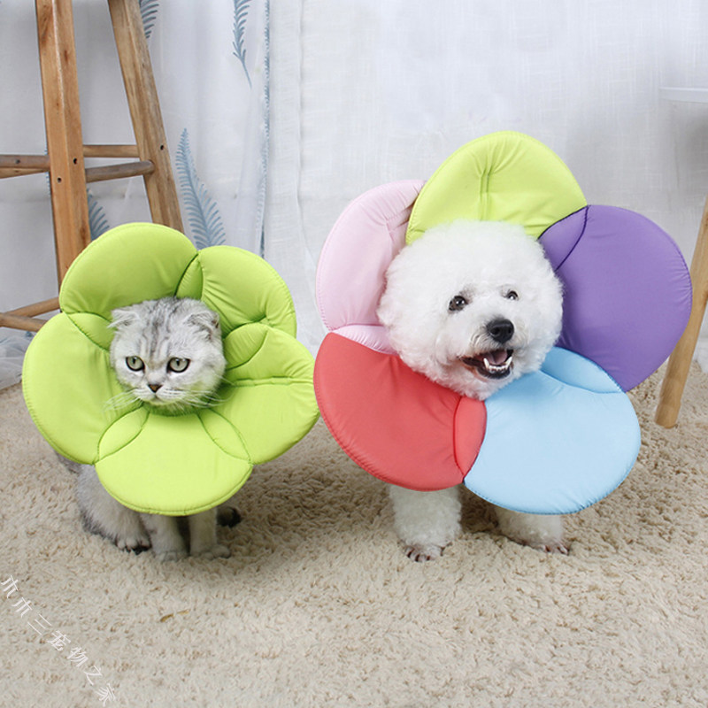 宠物伊丽莎白圈狗狗防舔圈猫咪绝育圈美容保护头套项圈猫耻辱圈软