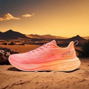 男款 男鞋 减震慢跑鞋 运动鞋 通勤低帮跑步鞋 匹克态极风速2.0跑步鞋