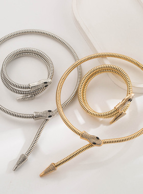 和鸣跨境欧美新款个性创意朋克风金属镶钻吸蛇百搭蛇骨链项圈套装