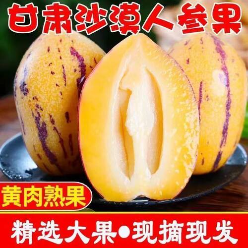 皮薄多汁富硒现摘现发民勤人参果