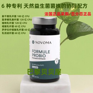 现货法国正品采购Novoma Probio Formula 600 亿 CFU益生菌60粒