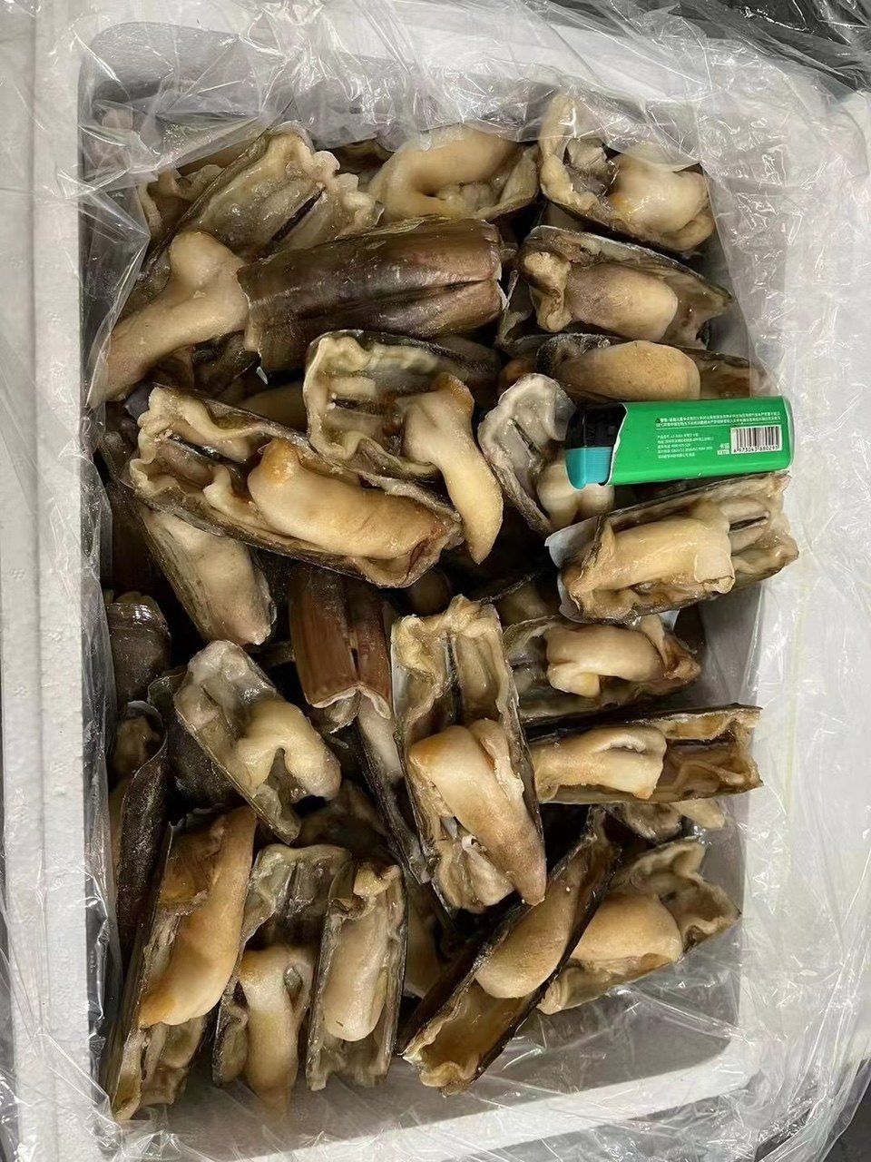 新鲜冷冻开边蛏子 开背竹蛏 无沙去内脏 半壳大号蛏子 整箱9斤
