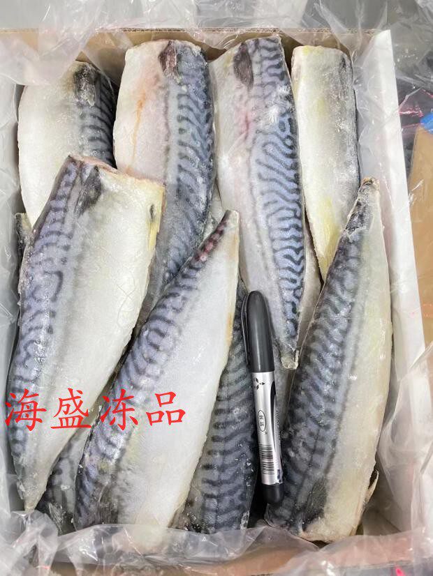 青花鱼片 鲭鱼片 5kg青花鱼柳 寿司料理烧烤海鲜食材江浙沪包邮