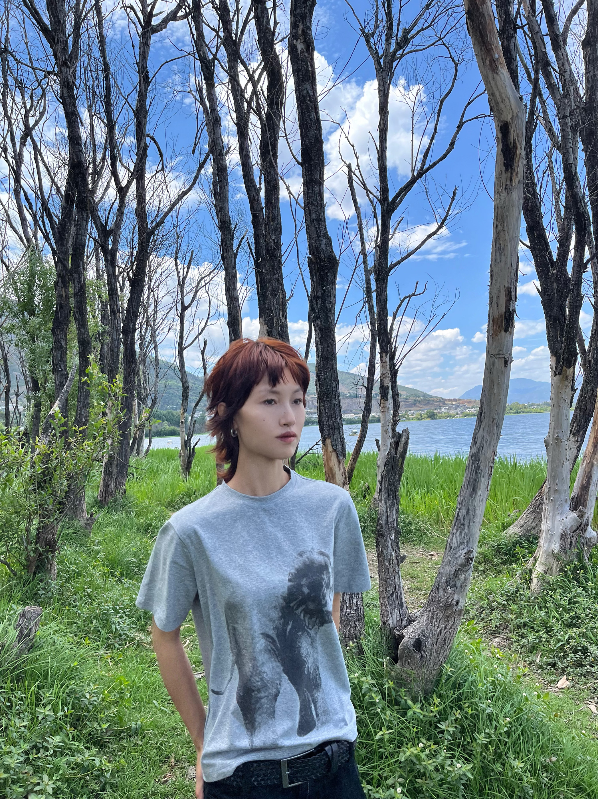 （清仓不退换）次日早晨 高品质 大象印花T恤  白色/灰色