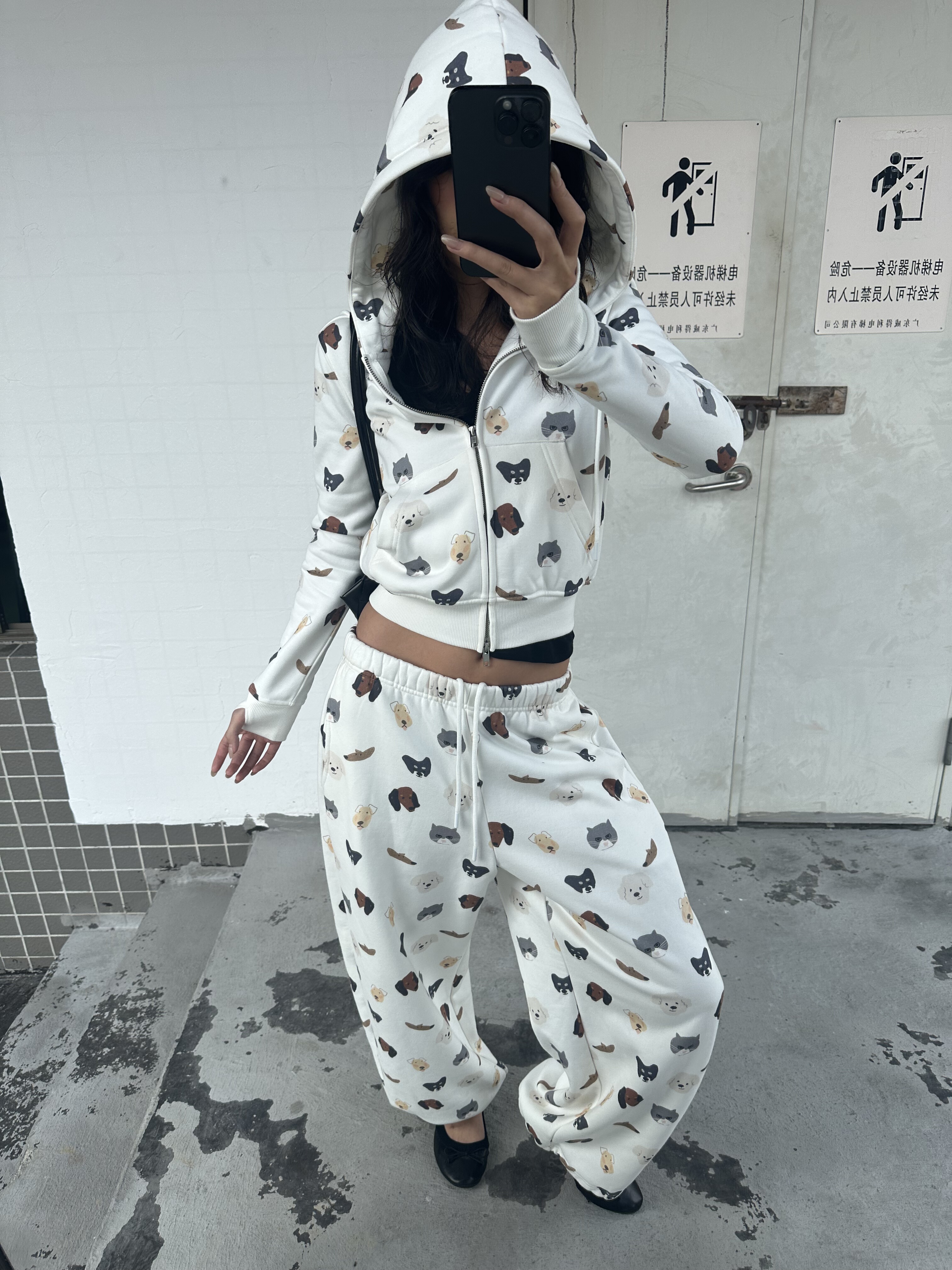 现货  WEEEECHAN 猫狗狗