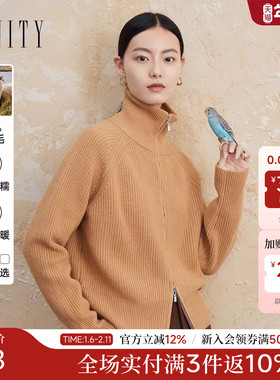 菲妮迪品牌羊毛衫2025冬季新款简约气质纯羊毛半高领针织毛衣女