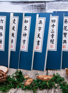如来神掌降龙十八掌武功秘籍笔记本子个性创意简约学生卡通搞怪