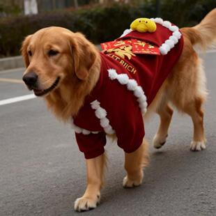 凯俪娜狗狗新年衣服红色刺绣福字毛衣冬季加绒保暖小型宠物装