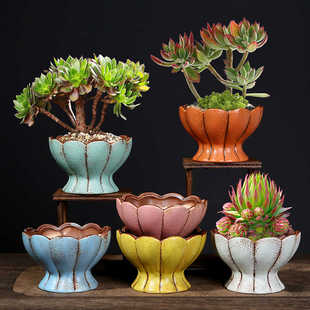 多肉花盆陶瓷特价清仓创意个性大号粗陶透气简约室内文竹绿植盆器