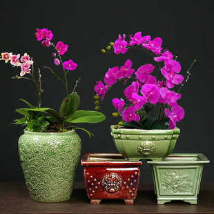 哥窑钧窑创意蝴蝶兰专用陶瓷大号陶瓷古典花盆绿植兰花大口径花盆