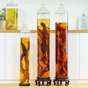 高档泡酒专用酒瓶高硼硅玻璃密封罐大号加厚长药材人参牛大力酒坛