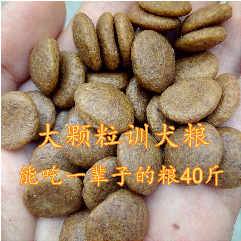 大颗粒训犬狗粮20kg40斤训练奖励牛肉味天然马犬黑背金德边牧通用