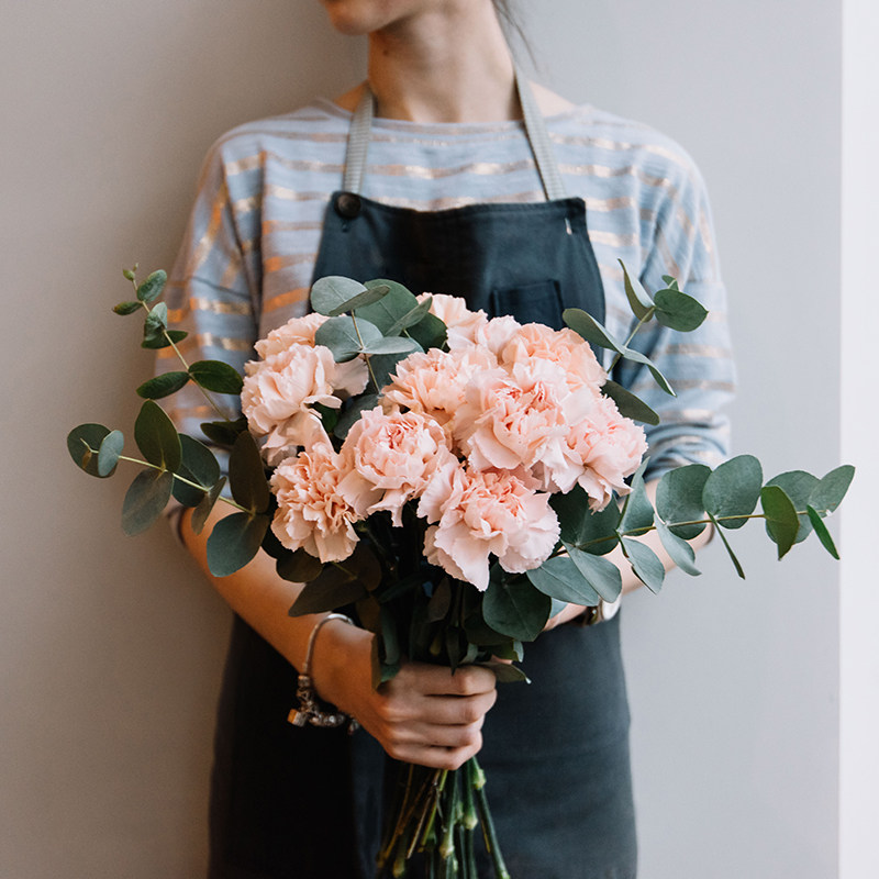 教师节花束康乃馨鲜花云南直发昆明基地直供批发一束插花送老师|msdalam kategori penghantaran bunga/bunga simulasi/tumbuhan berkebun, penghantaran bunga (bandar) - dari Buy2taobao.com untuk memberikan perkhidmatan ejen Taobao profesional membeli