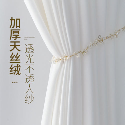 透光不透人天丝绒纱帘简约窗帘