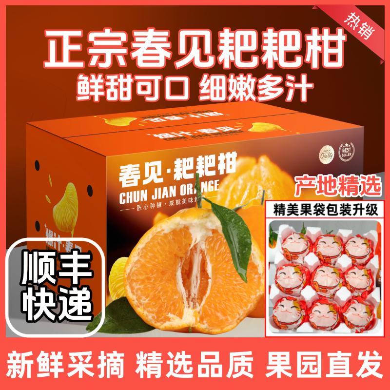 四川春见耙耙柑爆甜多汁新鲜顺丰