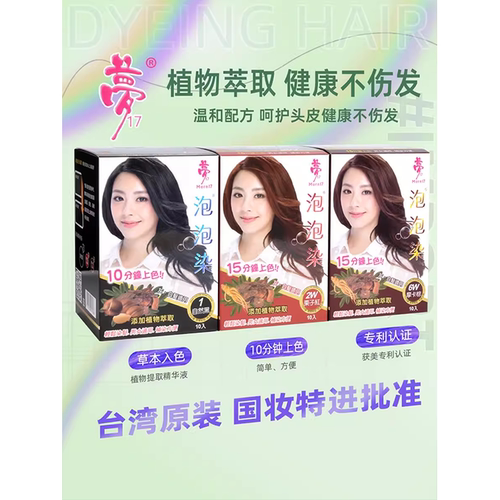 台湾进口梦17泡泡染发剂