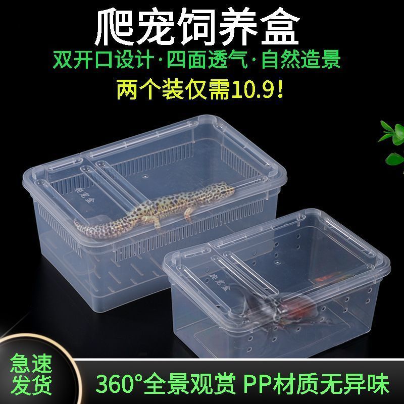 青蛙饲养箱爬宠饲养盒两栖箱小乌龟缸守宫角蛙盒带晒台塑料乌龟盒