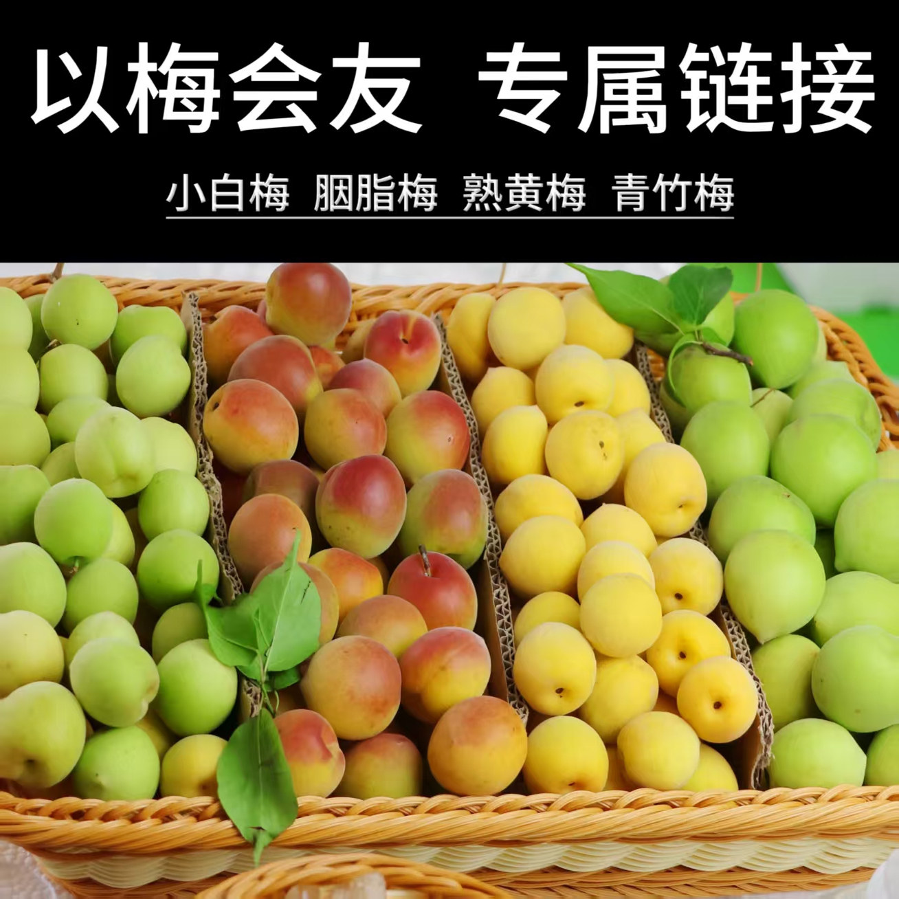 新鲜现摘诏安青梅鲜果高山野生小白梅泡酒酵素黄梅胭脂梅大果酸梅