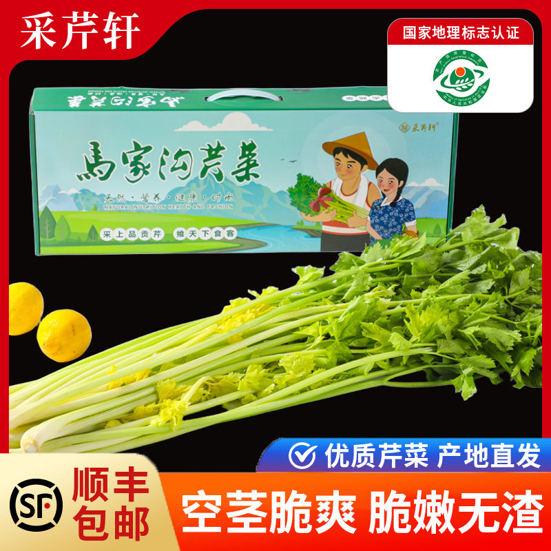 马家沟芹菜正宗嫩芯大叶黄芹菜优质芹菜产地直供芹菜顺丰包邮