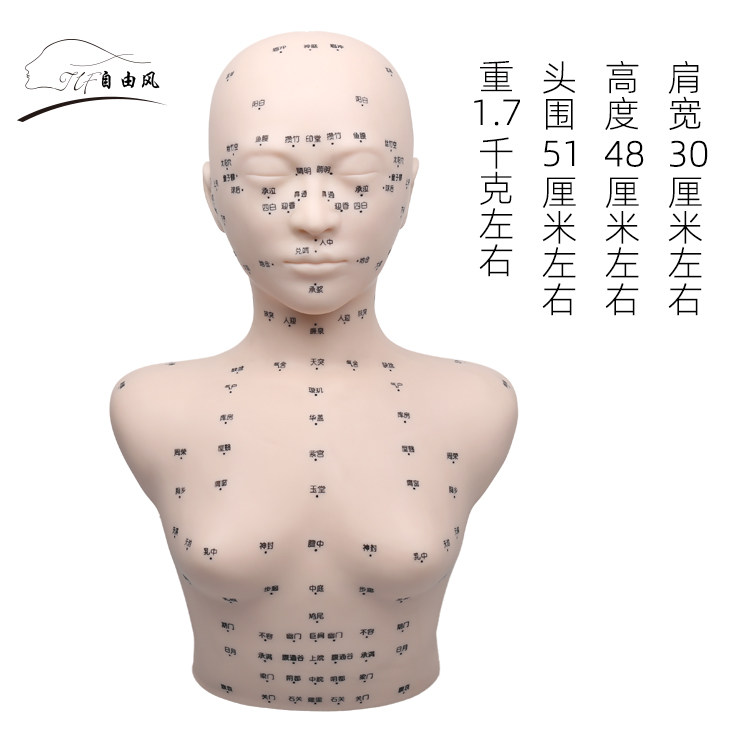 美容院假人模特全身穴位美容头模美容院练手法模特皮肤管理头模