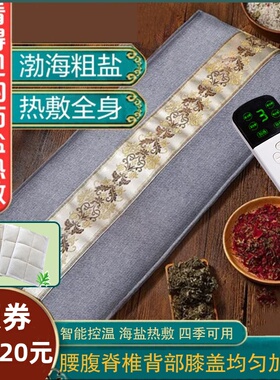 海盐电加热热敷袋热敷盐袋家用热敷肩颈腰腹膝盖成人艾灸热敷盐包