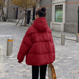 现货M202P275K3982024冬装新款定制面料90羽绒服短款连帽，女装羽绒服，浙宝088
